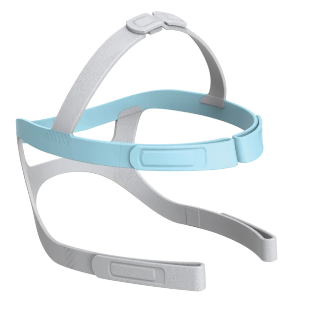 Fisher &amp; Paykel Eson 2 Nasal Mask
